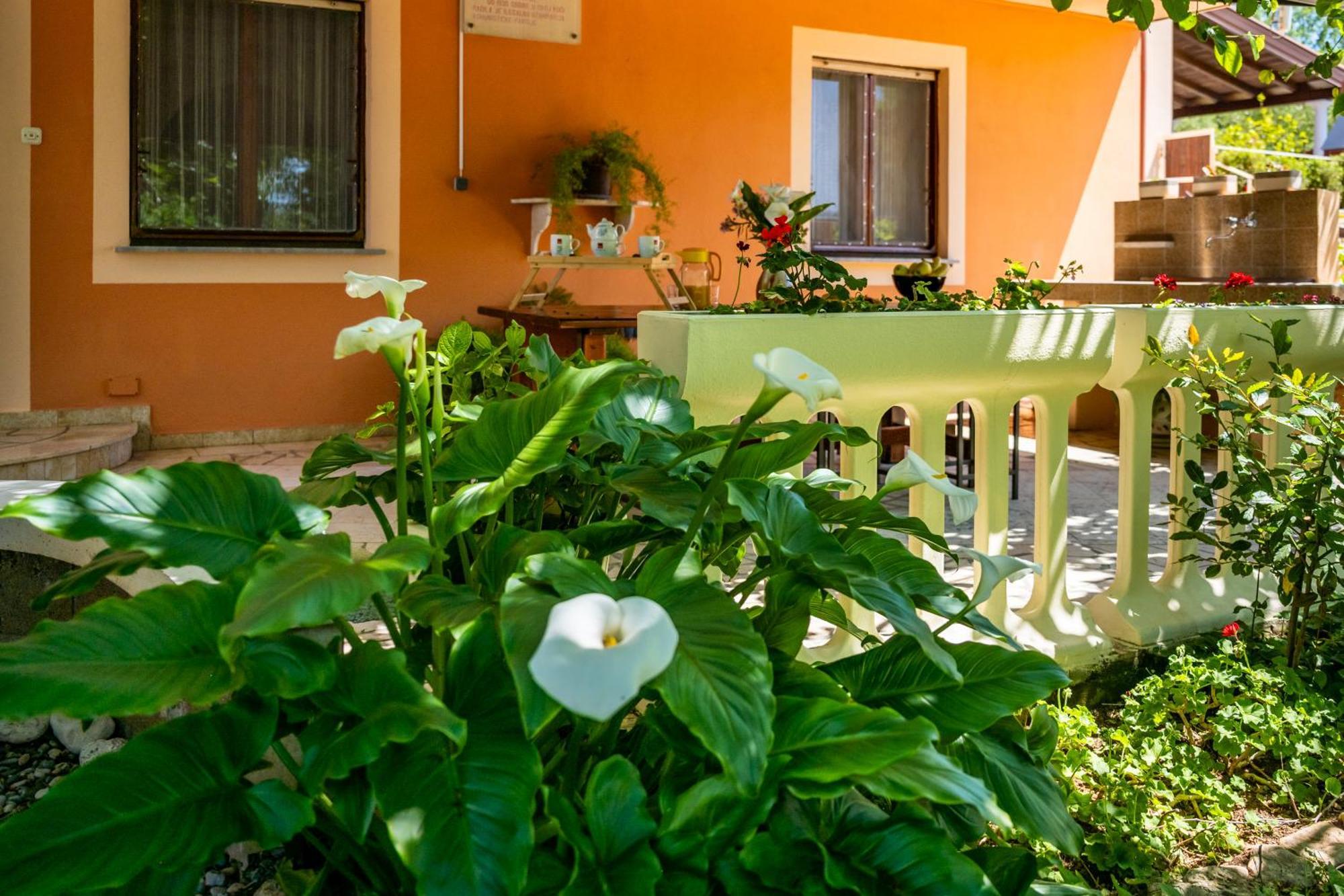 וינקורן E-M Apartments With Private Pool מראה חיצוני תמונה